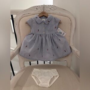 🧸 9 Mth Teddy Bear Baby Shirt Dress 100% Cotton with Matching Bloomer NWT